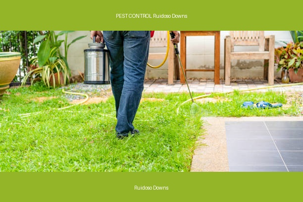 PEST CONTROL Ruidoso Downs